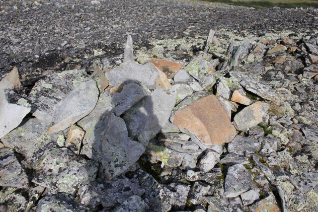 Frost-heaved lichen covered rocks interspersed with Arctic plants along the Kougarok Highway. Picture