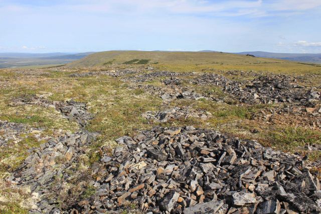 Frost heaved rocks on the high ridges above the Imuruk Basin Picture
