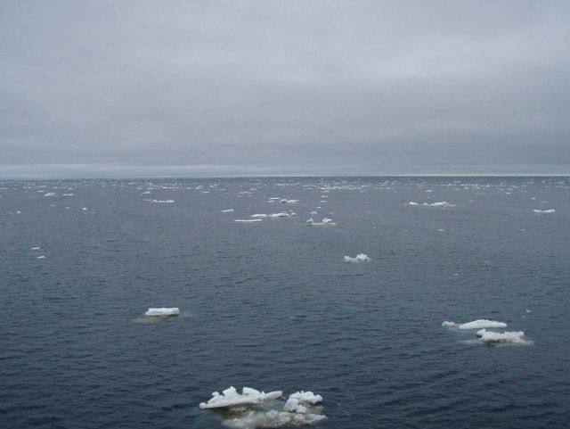 On the edge of the ice as small bergie bits are seen spread sporadically throughout the sea. Picture