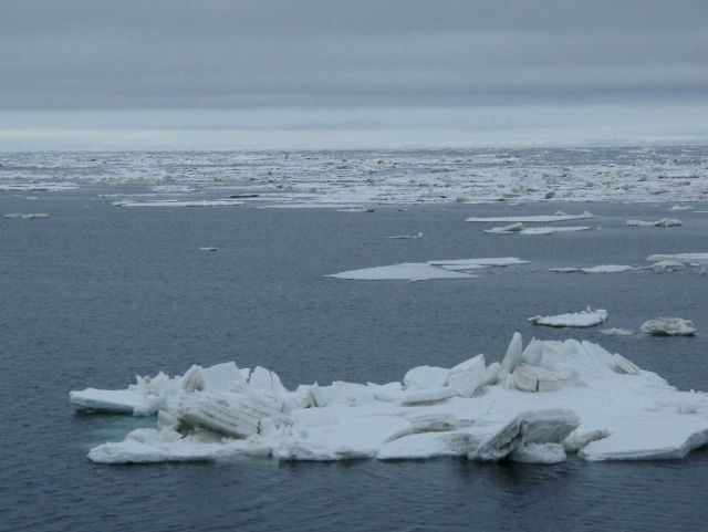 Large floes that show evidence of having been jostled and overrun by nearby floes in rough seas. Picture