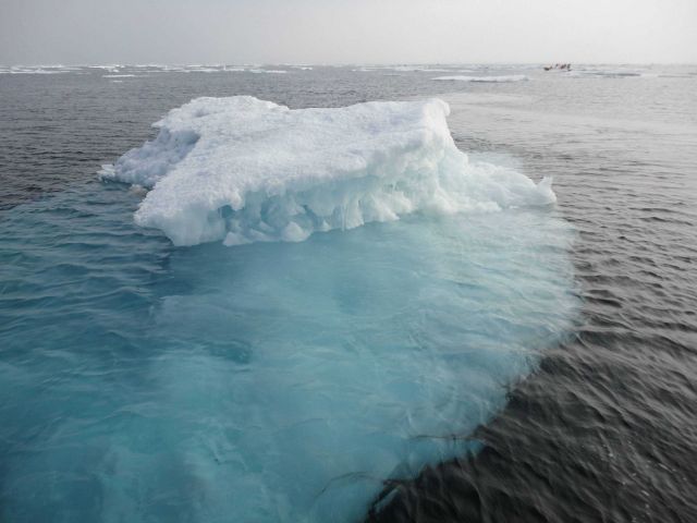 Melting ice floe. Picture
