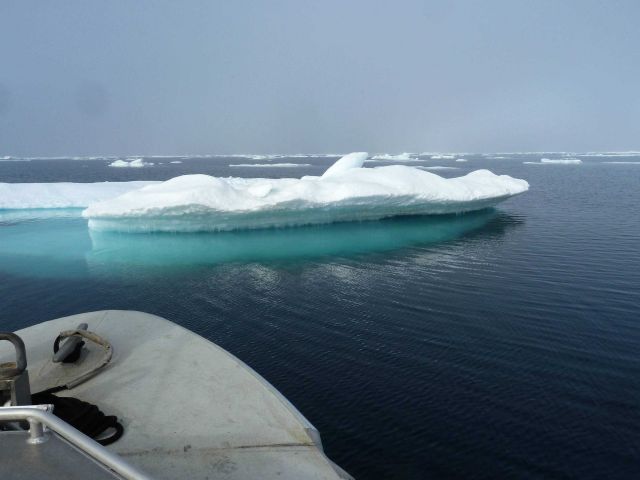 Widely dispersed ice floes Picture