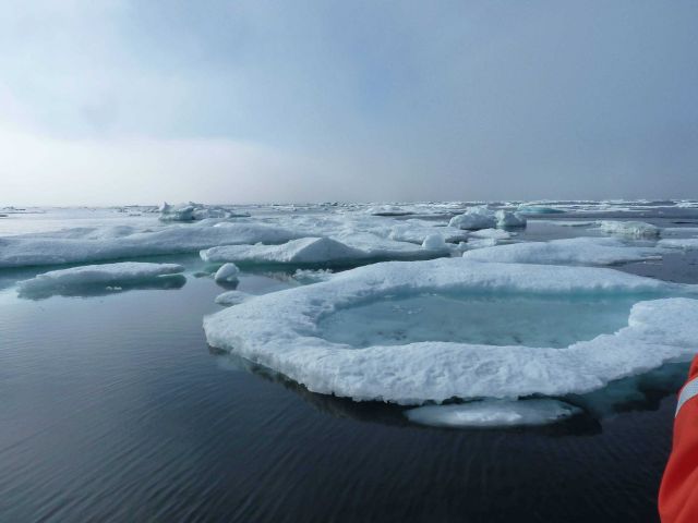 Ice floes Picture