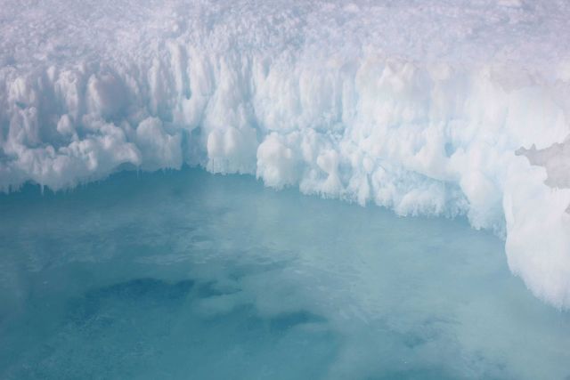 Melting ice floe. Picture