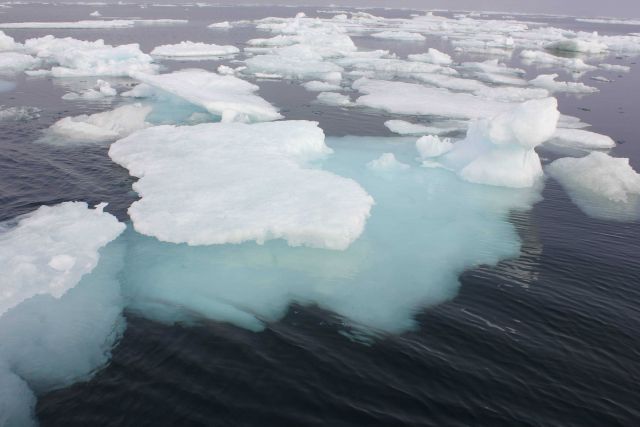 Melting ice floes and brash ice. Picture