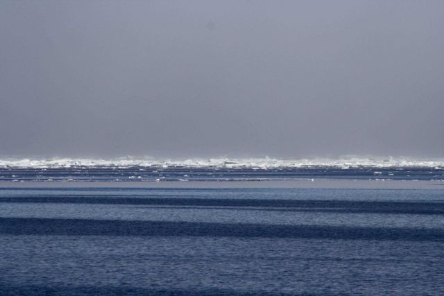Parallel patterns in the waters of the Beaufort Sea with ice floes and a pressure ridge in the distance. Picture