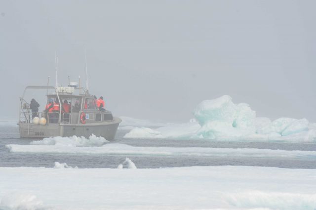 Survey launch from NOAA Ship FAIRWEATHER in the pack ice about 40 miles west of Point Barrow Picture