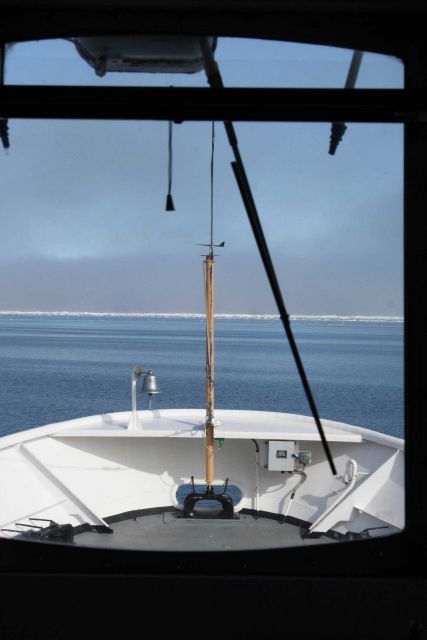 South of the pack ice about 40 miles west of Point Barrow. Picture