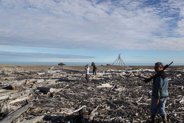 Photographers and bear lookout amongst the driftwood at Demarcation Point Picture