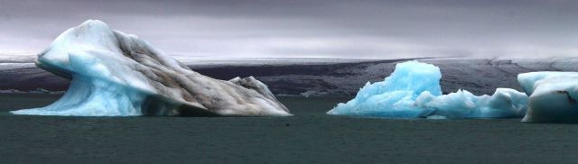 Icebergs that have calved from glaciers off Iceland. Picture