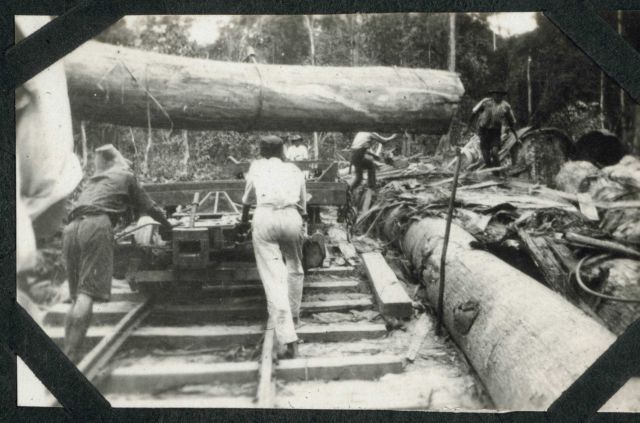 A huge log being placed on a railroad car at Batottan, British North Borneo. Picture