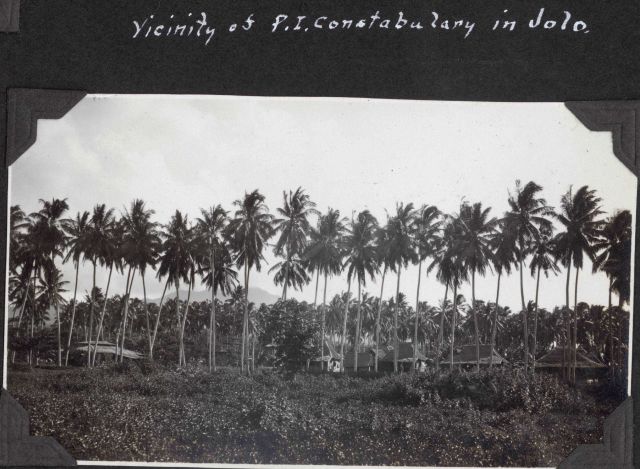 Palm trees in the vicinity of the constabulary at Jolo. Picture