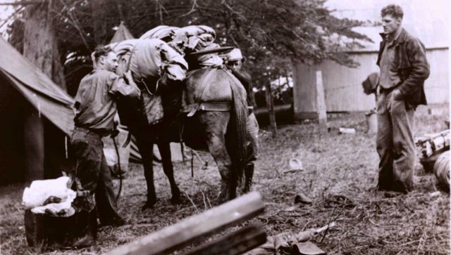 Cowboy Roy Bixby loading a pack horse while Winnie Pierce (Lieutenant Charles Pierce's brother) looks on. Picture