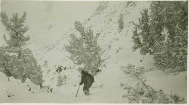 Party chief Lieutenant Jack Johnson in the high Sierra on the west side of Owens Valley, California Picture