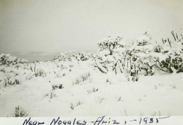 Snow in the desert near Nogales. Picture