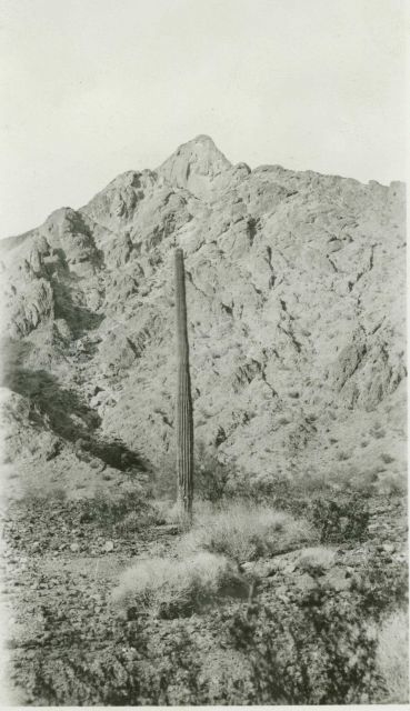 Station Hawk Peak as seen from the road Picture