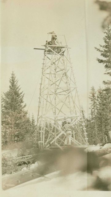 Forty foot tower built on Mount Graham in the Pinaleno Mountains Picture