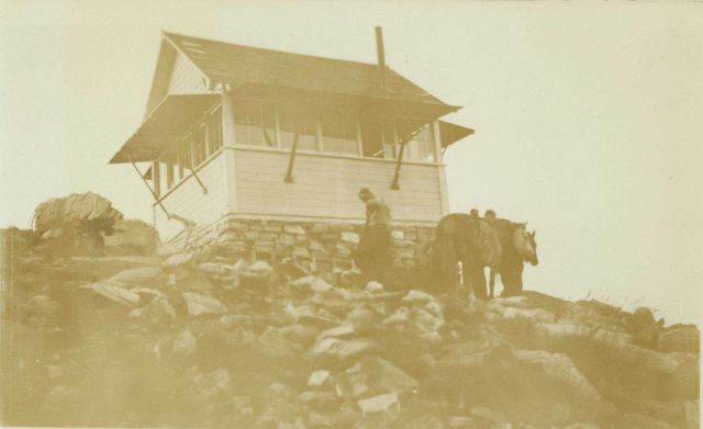 Unpacking horse at Station Sheep Picture