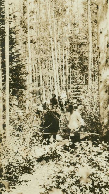 Clearing out downfallen timber on the trail to Mount Lolo in the Bitterroot Mountains Picture