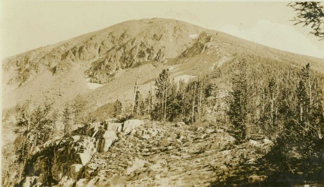 A view of Mount Lolo, location of a triangulation station. Picture