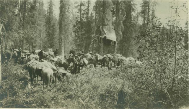 Packing into the interior Picture