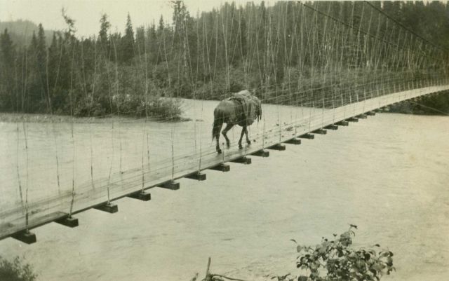 Crossing over one of the many rivers in central Alaska on a suspension bridge Picture