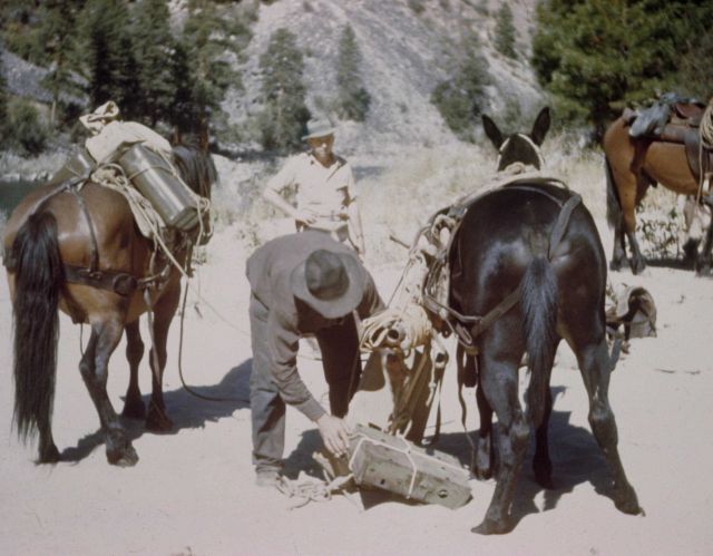 Starting into the River of No Return Wilderness along the Salmon River Picture