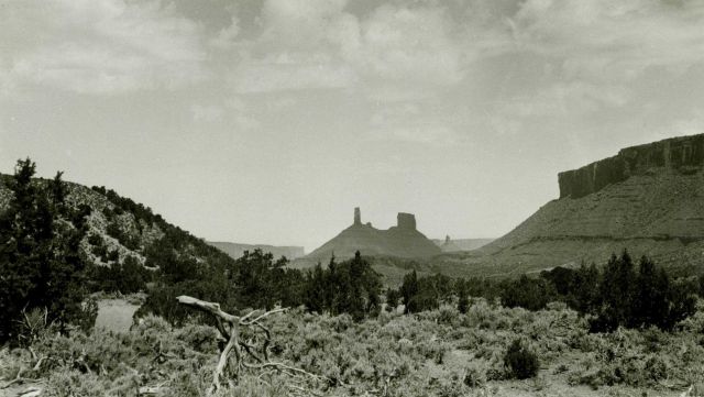 Views in the vicinity of Mt Picture