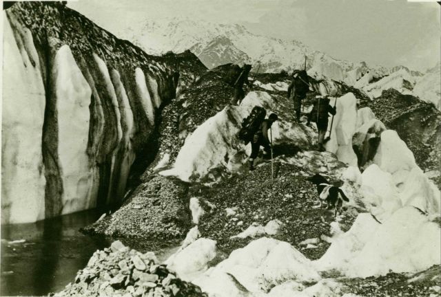 Surveying party climbing over a glacier with Mount St Picture