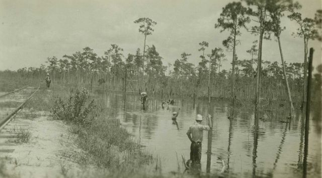 Contact platforms were under water because of heavy rains during traverse survey using invar tapes Picture