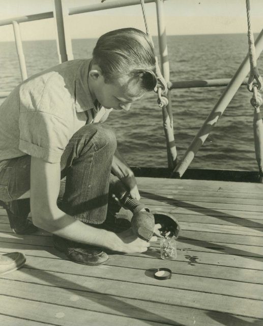 Collecting bottom sample material to determine anchoring characteristics of bottom Picture