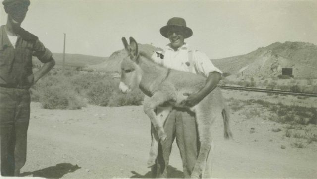 Member of level crew posing with a good-natured burro. Picture