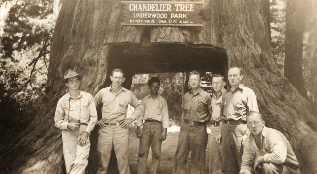 Coast and Geodetic Survey triangulation crew at the Chandelier Tree in Underwood Park. Picture