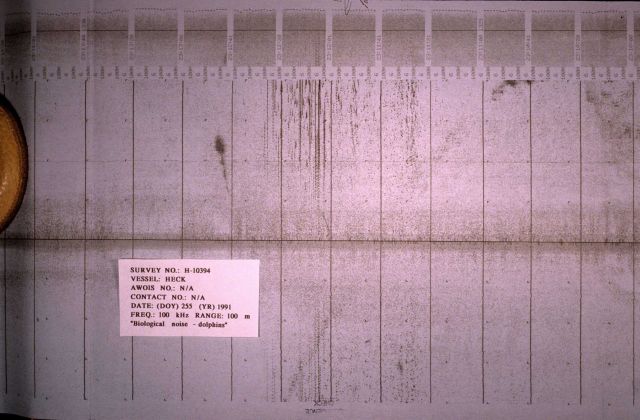 Side scan sonar image of biological noise in the water column caused by dolphins . Picture