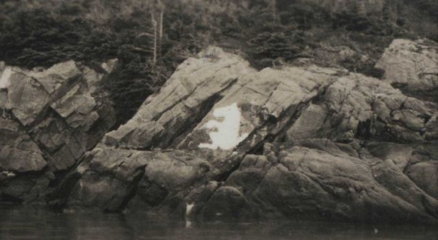 Squirrel signal designed and whitewashed by WESTDAHL crew Picture