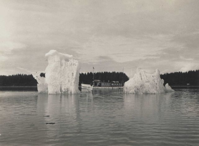 The Coast and Geodetic Survey Ship WESTDAHL silhouetted between icebergs in Bartlett Cove. Picture