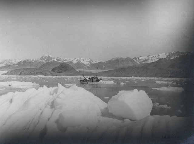 WESTDAHL in Glacier Bay. Picture
