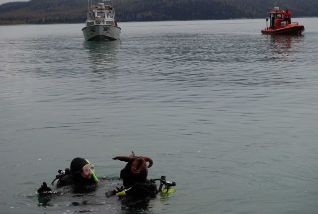 Jensen launch and RHIB supporting dive operations Picture