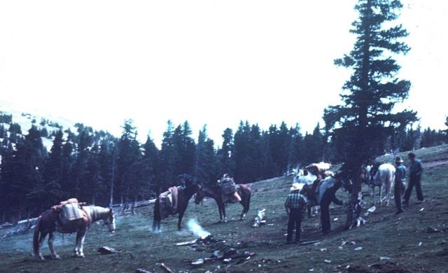 Breaking camp at Station Costilla and Ventrero Picture