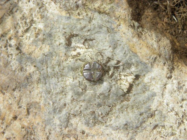 Closeup of the small brass bolt with + in witness post North Picture