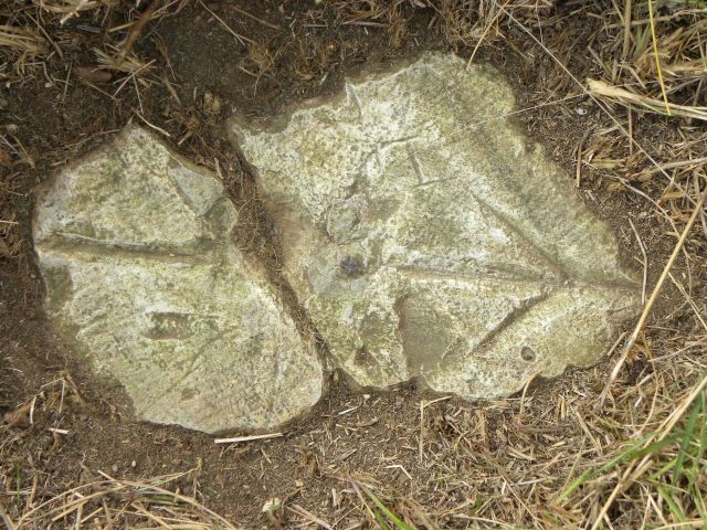 Witness post South located south of Meades Ranch 1891 Picture