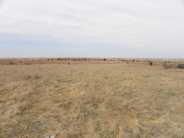 View looking due north from triangulation station Meades Ranch Picture