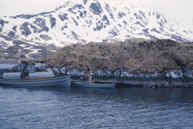 Tending a tide gage. Picture
