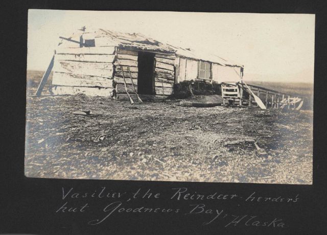 Vasiliev, the reindeer herder's hut at Goodnews Bay Picture