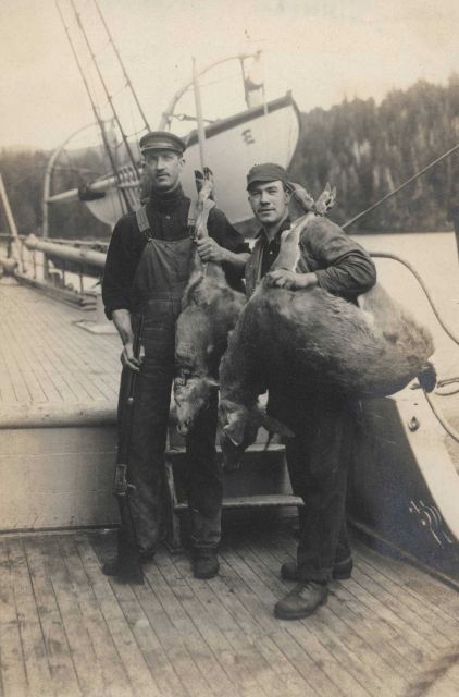 Venison for dinner (for the next week) on board the USC&GS Ship EXPLORER Picture