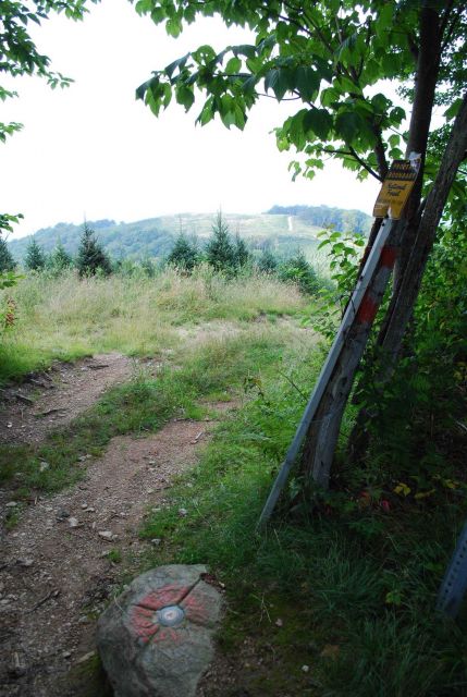 Geodetic marker on the junction of North Carolina, Virginia, and Tennessee borders. Picture