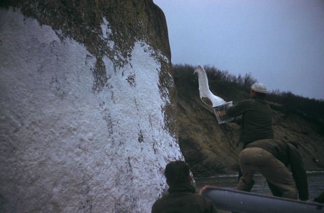 Whitewashing signal for visual hydrographic operations. Picture