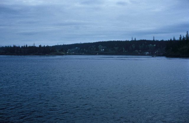 A scene in Alaska's Inside Passage Picture