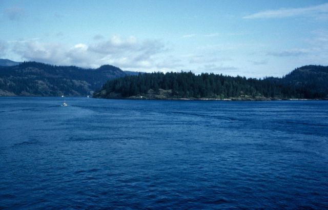 A scene in Alaska's Inside Passage Picture