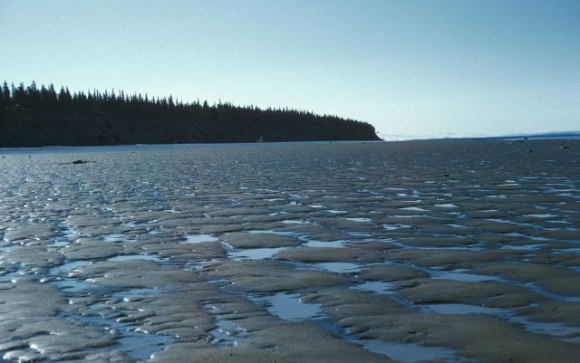 Mudflats in Cook Inlet at low tide Picture